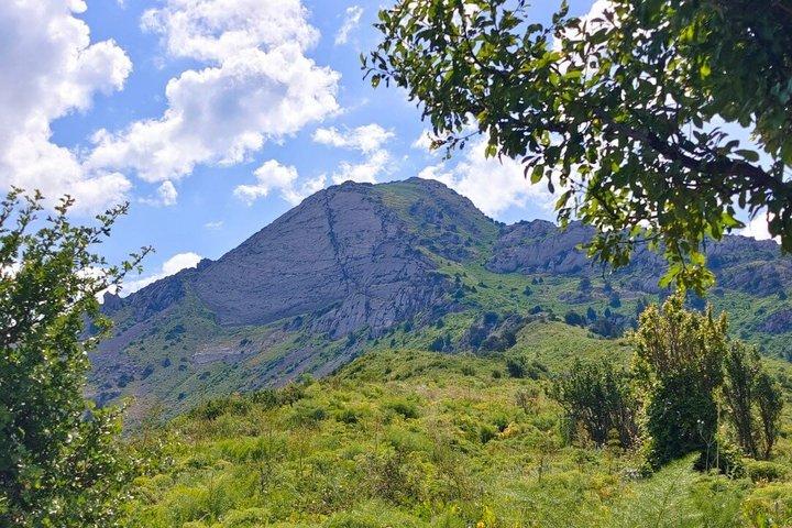 Из Ташкента в горы на один день: Амирсой, Чарвакское водохранилище и Чаткальский хребет — 2 / 7