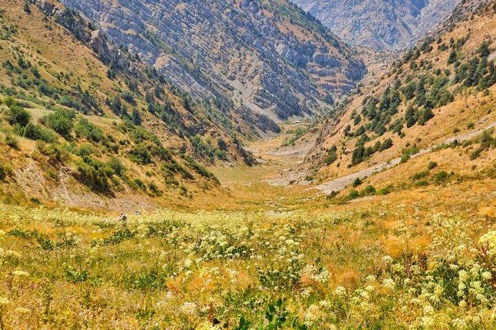 Из Ташкента в горы на один день: Амирсой, Чарвакское водохранилище и Чаткальский хребет — 7 / 7