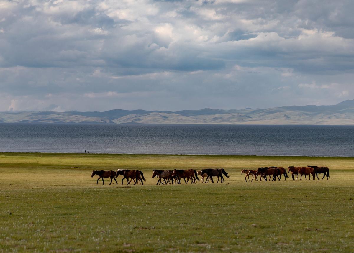 Song-Kul: a high lake of horses, herders and yurts